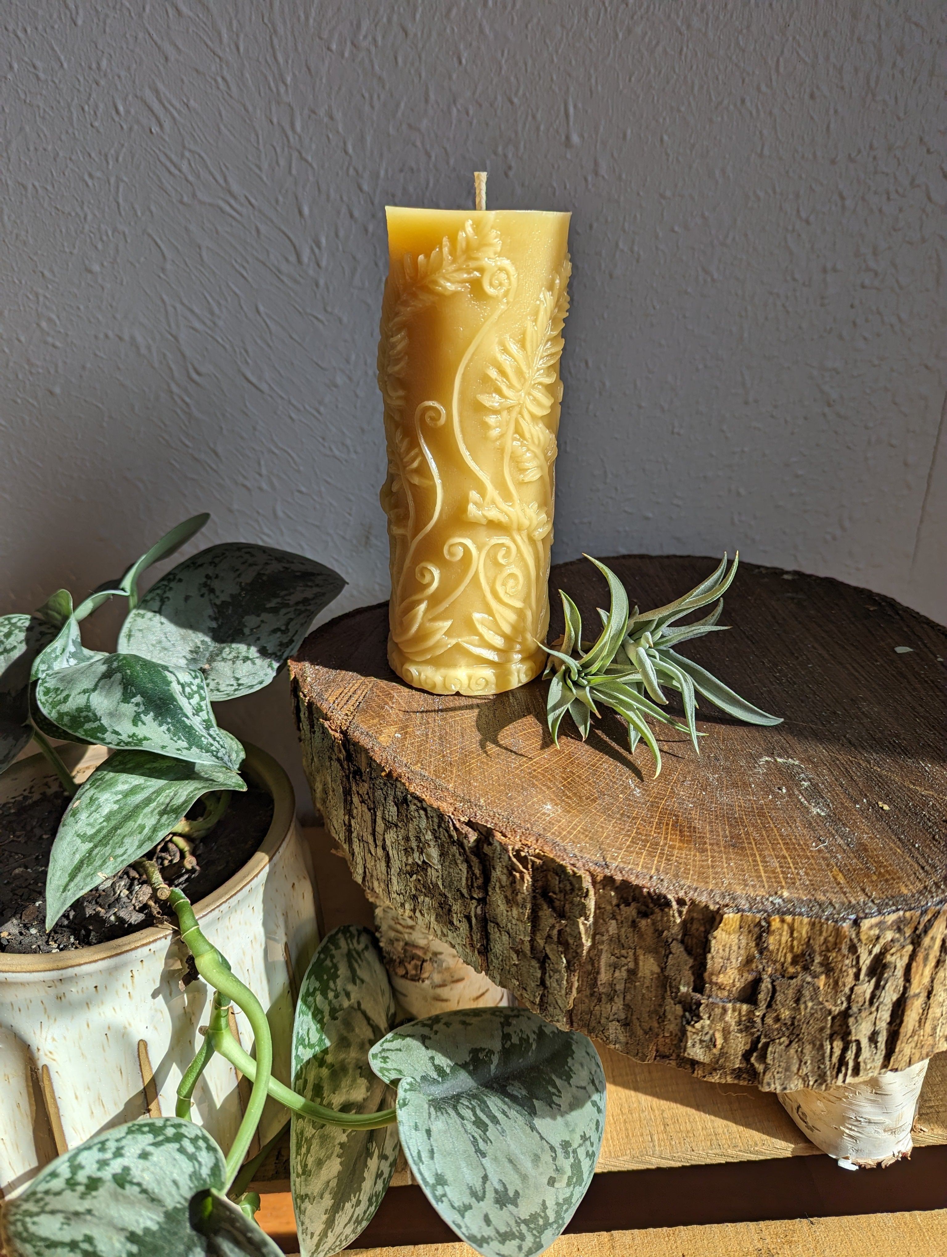 Fern Pillar Pure Beeswax Candle