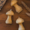 Mushroom Beeswax Candle