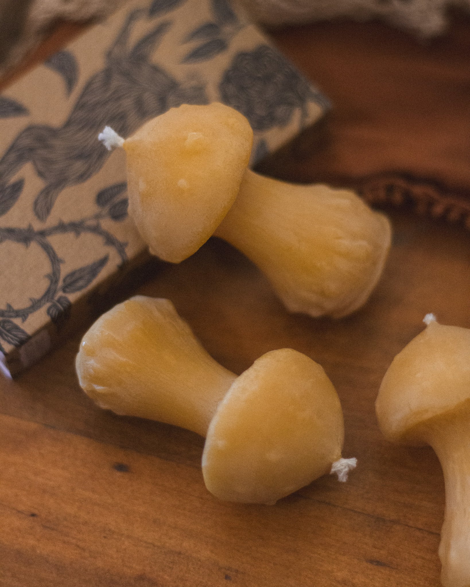 Mushroom Beeswax Candle