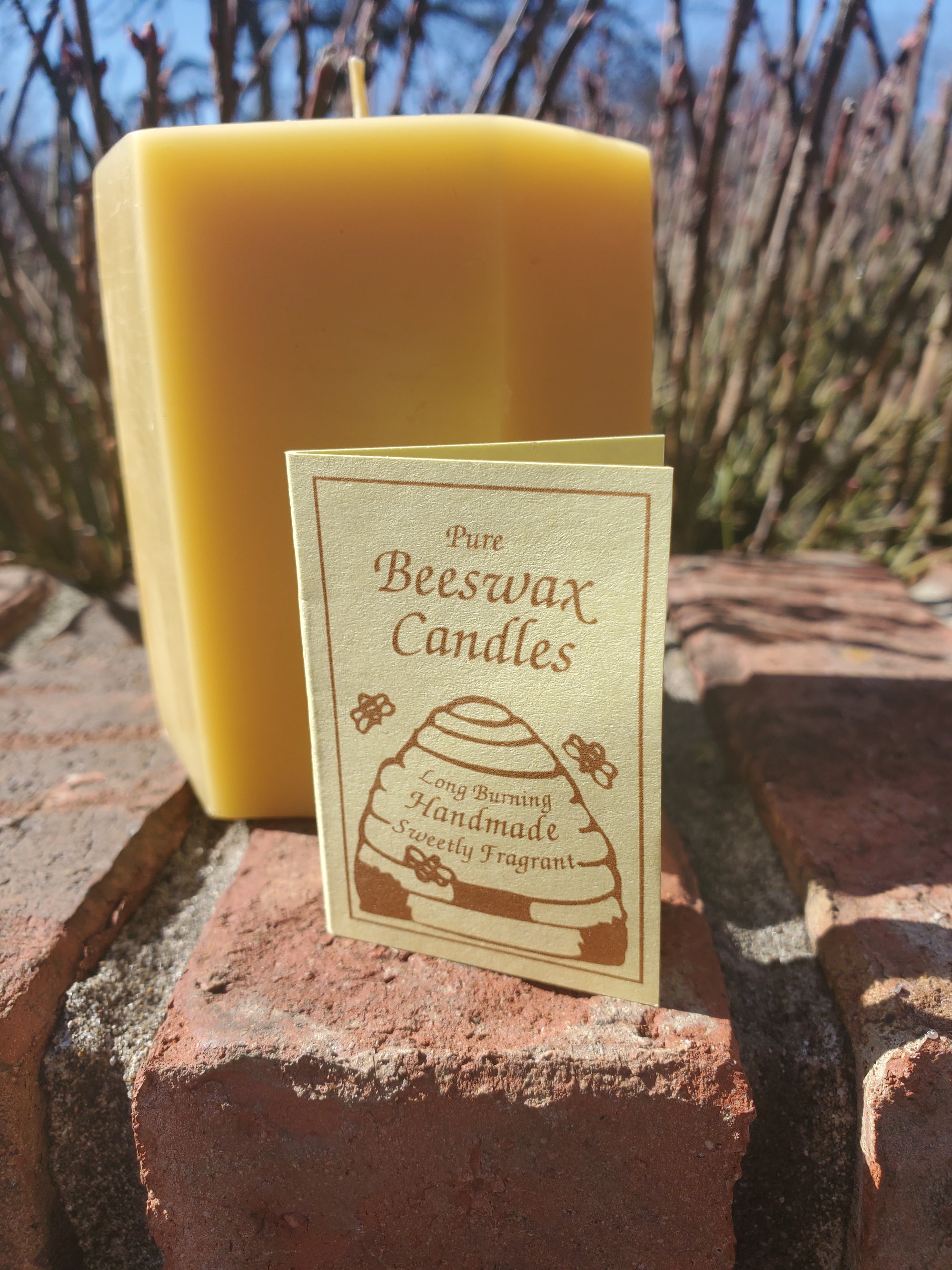 Beeswax mushroom candles – Hardwood Honey